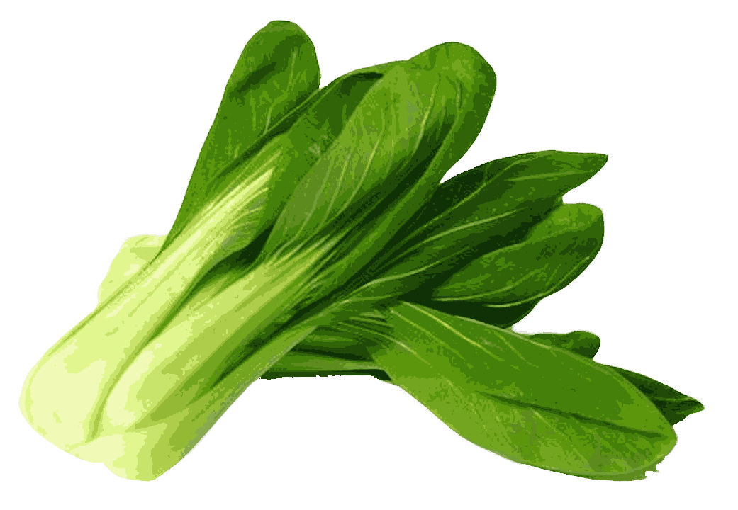 Bok Choy