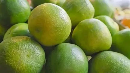 SWEET LIME {சாத்துக்குடி}