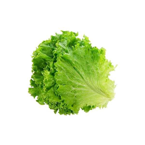 Green Lettuce