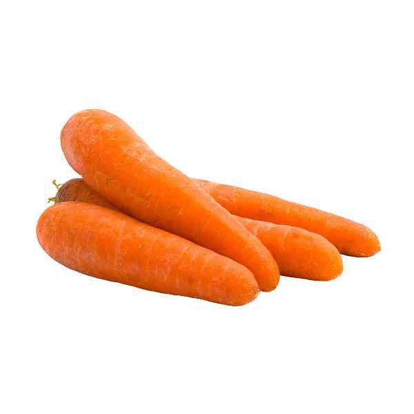 CARROT