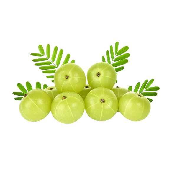AMLA